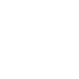 Subformer